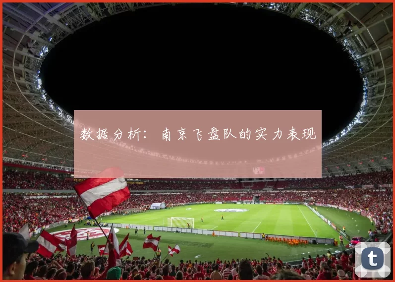 数据分析：南京飞盘队的实力表现
