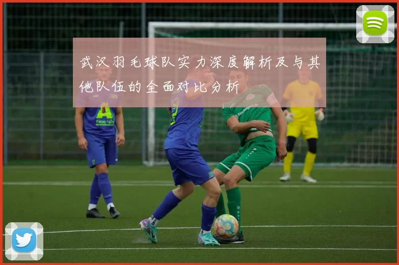 武汉羽毛球队实力深度解析及与其他队伍的全面对比分析