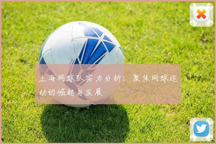 上海网球队实力分析：聚焦网球运动的崛起与发展